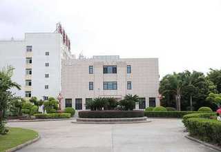 广州小型台式桌面摇床供应商